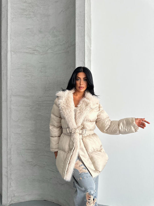 كبوت بحزام بيج