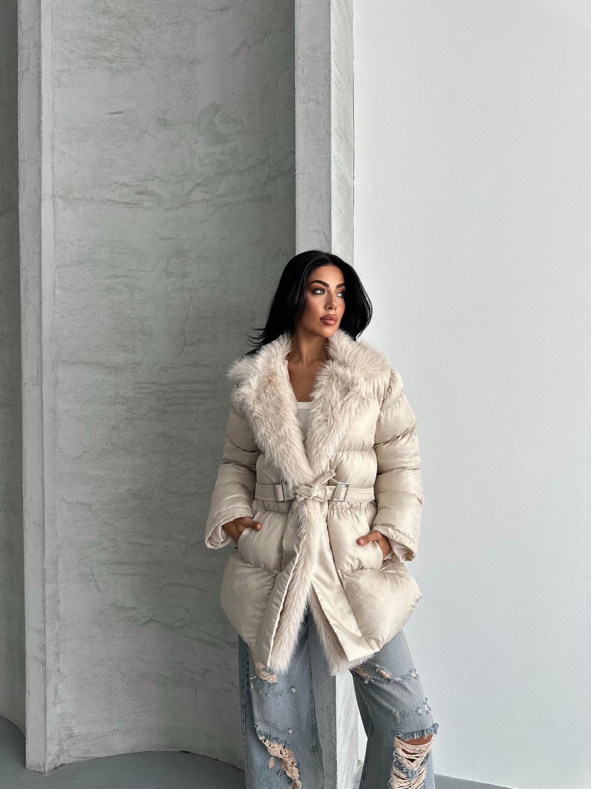 كبوت بحزام بيج