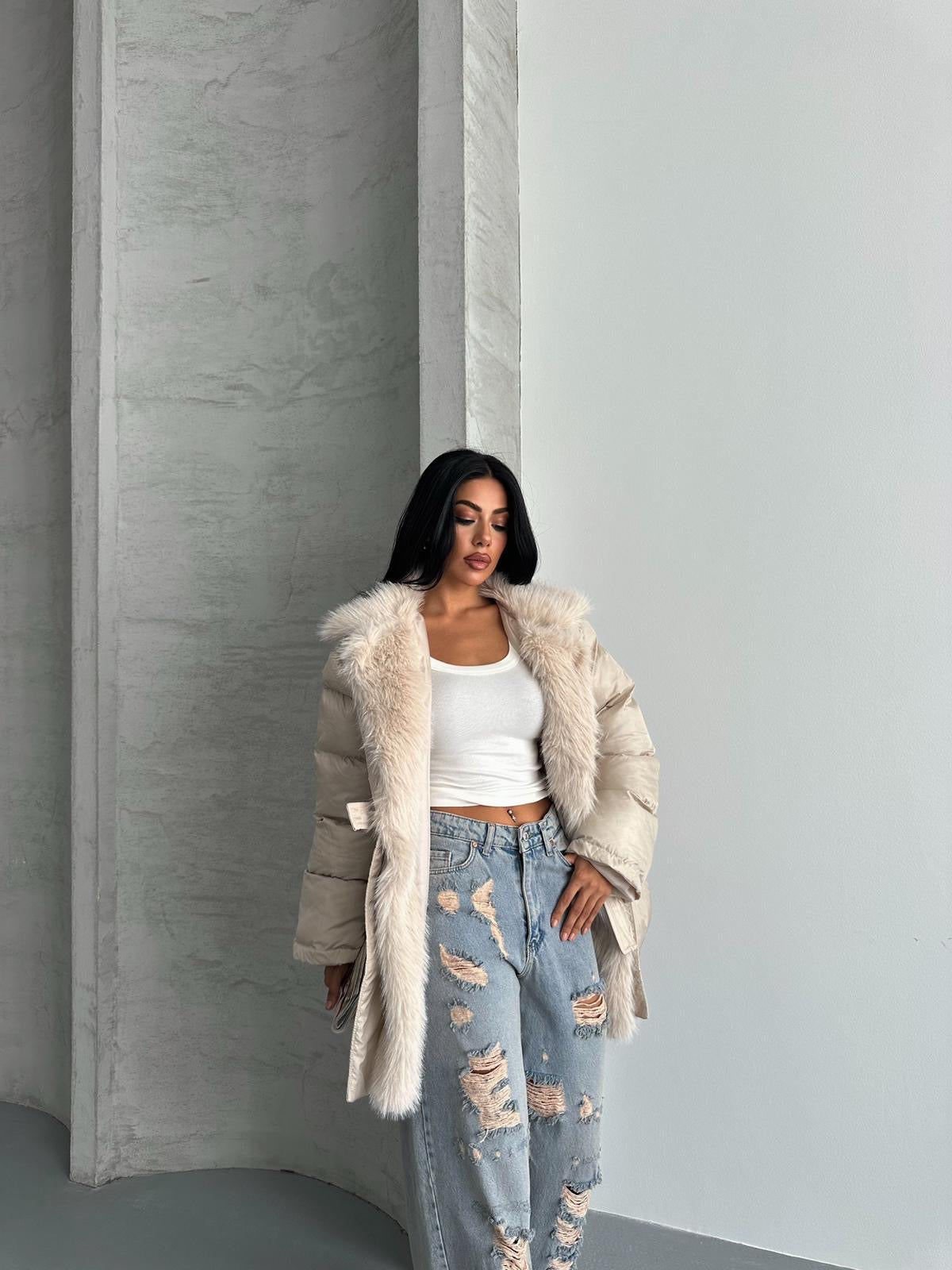 كبوت بحزام بيج